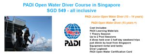 Open Water Diver Course in Singapore