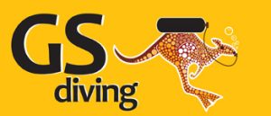 GS Logo